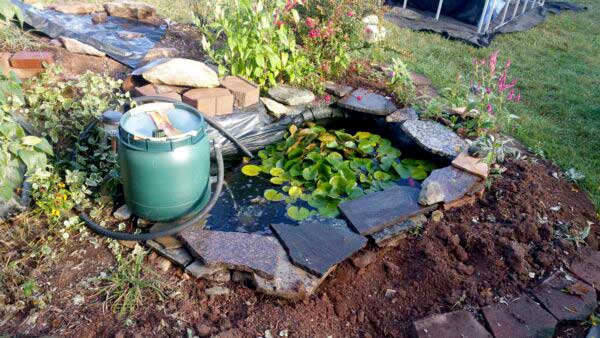 before new pond