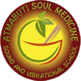 soul medicine logo